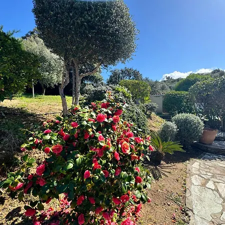 Maison 2 Vue Mer